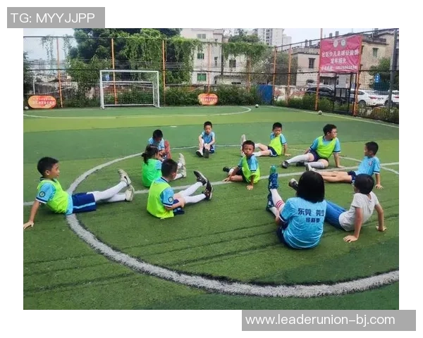 足球野餐的乐趣与激情在绿茵场上交织的美好时光