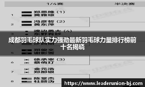 成都羽毛球队实力强劲最新羽毛球力量排行榜前十名揭晓